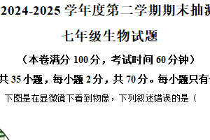 江苏省徐州市沛县实验学校联盟学区2024-2025学年七年级下学期期末生物试题（含解析）