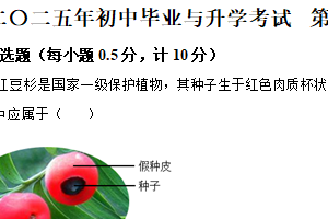 2025年江苏省盐城市射阳县部分校中考第一次检测生物试题（含解析）