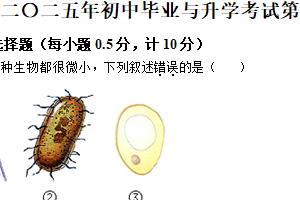 2025年江苏省盐城市盐都区部分校八年级中考一模生物试题（含解析）