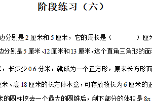 2024-2025学年江苏省苏州市姑苏区沧浪实验小学苏教版六年级下册期末阶段练习数学试卷（含解析）