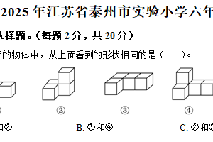 2024-2025学年江苏省泰州市海陵区泰州市实验小学苏教版六年级下册期末测试数学试卷（含解析）