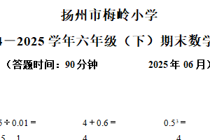 2024-2025学年江苏省扬州市邗江区梅岭小学苏教版六年级下册期末测试数学试卷（含解析）
