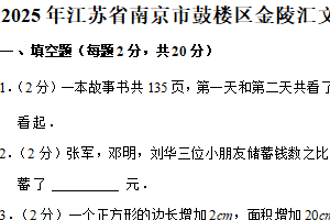 江苏省南京市鼓楼区金陵汇文学校2024-2025学年六年级下学期期末数学试题（含解析）