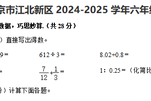 江苏省南京市江北新区2024-2025学年六年级下学期期末数学试卷（含解析）
