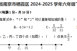 江苏省南京市栖霞区2024-2025学年六年级下学期期末数学试题（含解析）