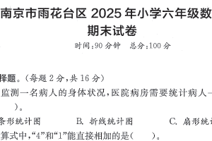 江苏省南京市雨花台区2024-2025学年六年级下学期期末数学试题（含解析）