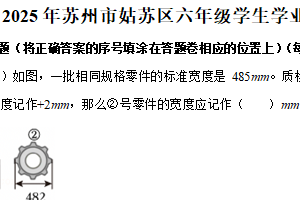 江苏省苏州市姑苏区2024-2025学年六年级下学期期末数学试题（含解析）
