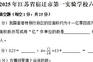 江苏省宿迁市第一实验学校2024-2025学年六年级下学期期末数学试卷（含解析）