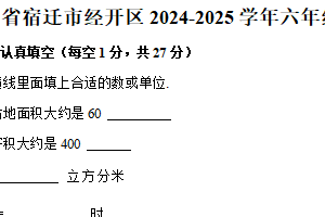 江苏省宿迁市经济技术开发区2024-2025学年六年级下学期期末数学试卷（含解析）