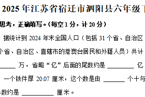 江苏省宿迁市泗阳县2024-2025学年六年级下学期期末数学试卷（含解析）