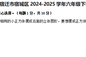 江苏省宿迁市宿城区2024-2025学年六年级下学期期末数学试题（含解析）