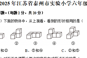 江苏省泰州市海陵区泰州市实验小学2024-2025学年六年级下学期期末数学试卷（含解析）