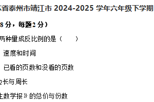 江苏省泰州市靖江市2024-2025学年六年级下学期6月期末数学试题（含解析）