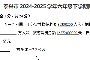 江苏省泰州市泰兴市2024-2025学年六年级下学期期末教学监测数学试卷（含解析）