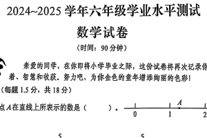 江苏省扬州市高邮市2024-2025学年六年级下学期6月期末数学试题（含答案）