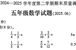 江苏省徐州市沛县2024-2025学年五年级下学期期末测试数学试题卷（含答案）