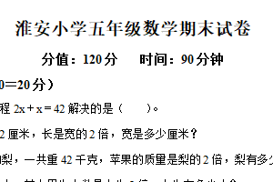 2024-2025学年江苏省淮安市实验小学苏教版五年级下册期末测试数学试卷（含解析）