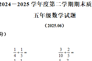 2024-2025学年江苏省徐州市沛县歌风小学联盟学区苏教版五年级下册期末测试数学试卷（含解析）