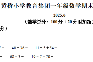 2024-2025学年江苏省泰州市泰兴市黄桥小学教育集团新城分校苏教版一年级下册期末测试数学试卷（含解析）