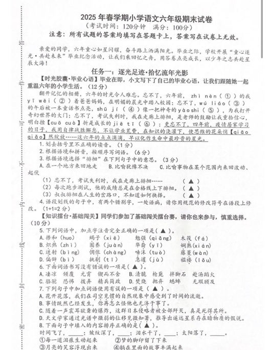 江苏省泰州市泰兴市2024-2025学年六年级下学期期末语文试题(含答案)