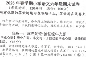 江苏省泰州市泰兴市2024-2025学年六年级下学期期末语文试题（含答案）