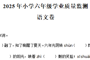 2024-2025学年江苏省宿迁市泗阳县统编版六年级下册期末考试语文试卷（含解析）