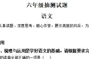 2024-2025学年江苏省徐州市邳州市等多市统编版六年级下册期末小升初抽测语文试卷（含解析）