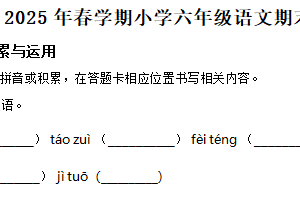 2024-2025学年江苏省盐城市盐都区统编版六年级下册期末考试语文试卷（含解析）