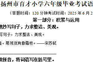 2024-2025学年江苏省扬州市育才小学统编版六年级下册期末考试语文试卷（含解析）