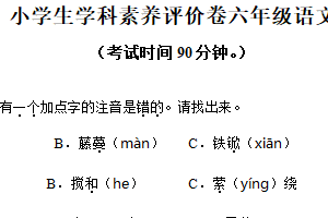 2024-2025学年江苏省镇江市丹徒区统编版六年级下册期末考试语文试卷（含解析）