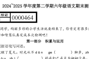 江苏省苏州工业园区东沙湖小学2024-2025学年六年级下学期期末语文练习卷（含答案）