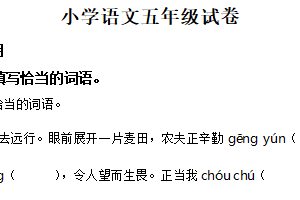 2024-2025学年江苏省苏州市常熟市统编版五年级下册期末考试语文试卷（含解析）
