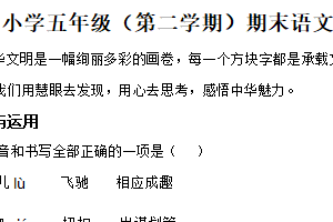 2024-2025学年江苏省徐州市泉山区统编版五年级下册期末考试语文试卷（含解析）