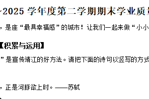 2024-2025学年江苏省泰州市靖江市统编版四年级下册期末考试语文试卷（含解析）