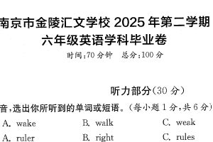 江苏省南京市金陵汇文学校2024-2025学年六年级下学期期末英语试题（含答案）