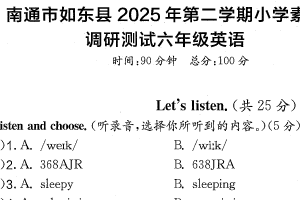 江苏省南通市如东县2024-2025学年六年级下学期期末英语试题（含答案）