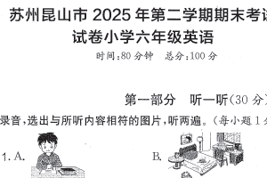 江苏省苏州市昆山市2024-2025学年六年级下学期期末英语试题（含答案）