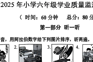 江苏省宿迁市泗阳县2024-2025学年六年级下学期期末英语试题（无答案）