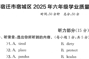 江苏省宿迁市宿城区2024-2025学年六年级下学期期末英语试题（含答案）