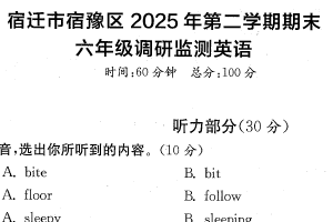 江苏省宿迁市宿豫区2024-2025学年六年级下学期期末英语试题（含答案）