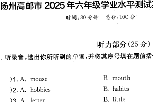 江苏省扬州市高邮市2024-2025学年六年级下学期期末英语试题（含答案）