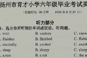 江苏省扬州市育才小学2024-2025学年六年级下学期期末英语试题（含答案）