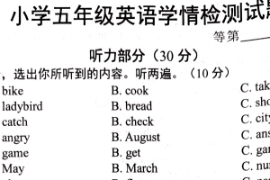 江苏省宿迁市沭阳县2024-2025学年五年级下学期期末英语试题（含答案+听力音频）