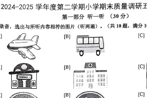 江苏省镇江市扬中市2024-2025学年五年级下学期期末英语试题（含答案+听力音频）