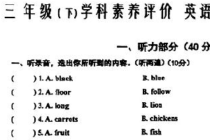 江苏省徐州市沛县2024-2025学年三年级下学期期末测试英语试题（含答案）