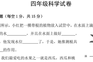 江苏省宿迁市泗阳县2024-2025学年四年级下学期期末科学试卷（无答案）