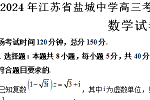 2024年江苏省盐城中学高三考前模拟数学试题（含解析）