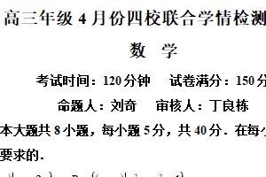 江苏省扬州市仪征市四校2024届高三下学期4月联合学情检测数学试卷（含解析）