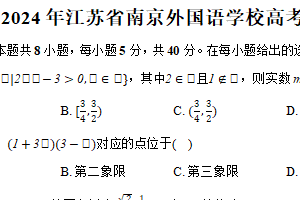2024年江苏省南京外国语学校高考数学模拟试卷（含解析）