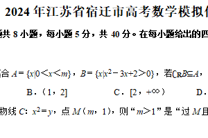 江苏省宿迁市2024届高三下学期模拟信息数学试卷（含解析）
